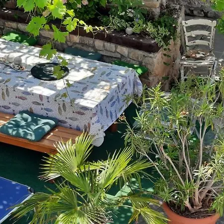 Jolly * プレマントゥーラ