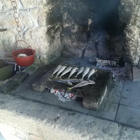 Jolly Premantura